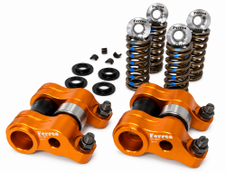 Ferrea 17-21 Civic Type R Valvespring/Roller Rocker Valvetrain Kit